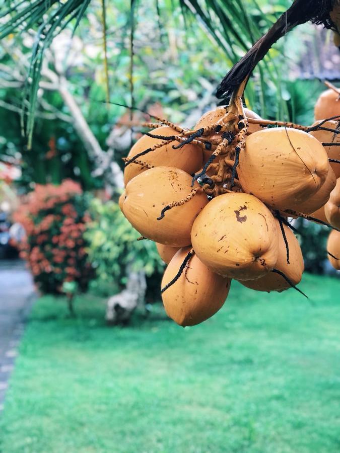El Homestay Bali Nusa Dua  Ngoại thất bức ảnh