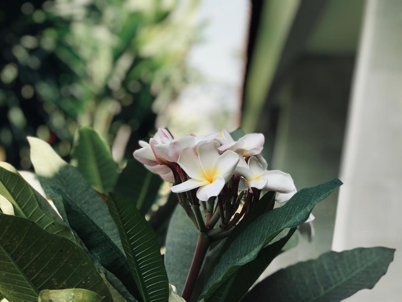 El Homestay Bali Nusa Dua  Ngoại thất bức ảnh